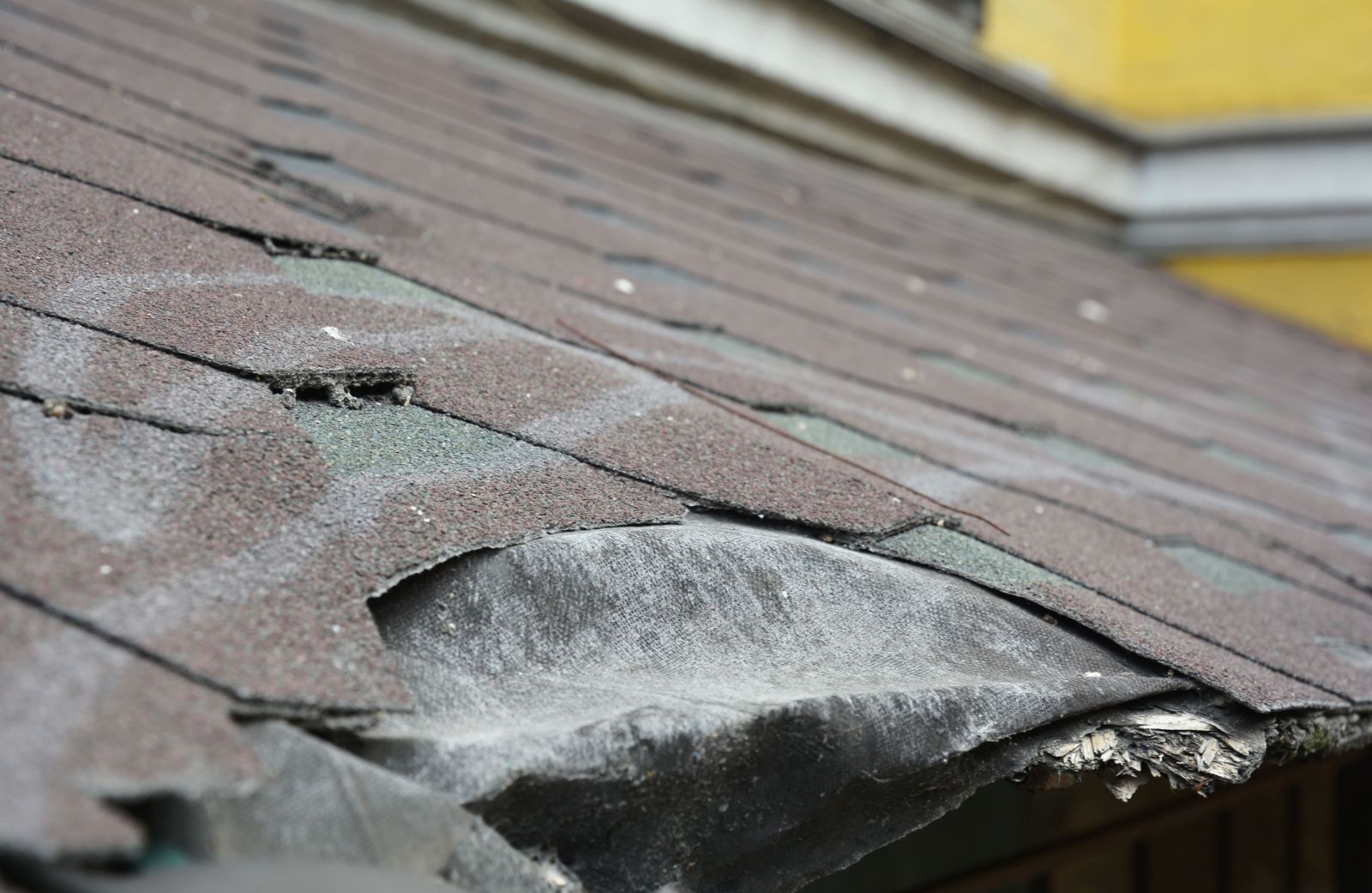 Stormshield Roofing & Exteriors LLC Images