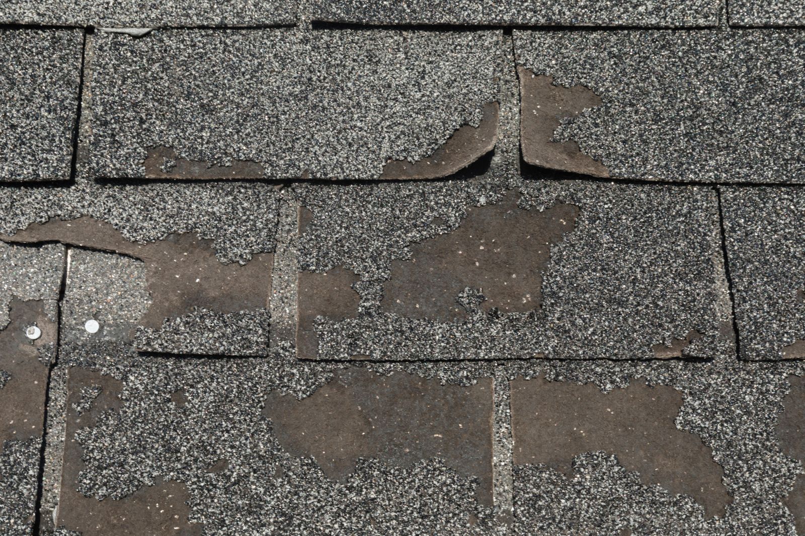 Stormshield Roofing & Exteriors LLC Images